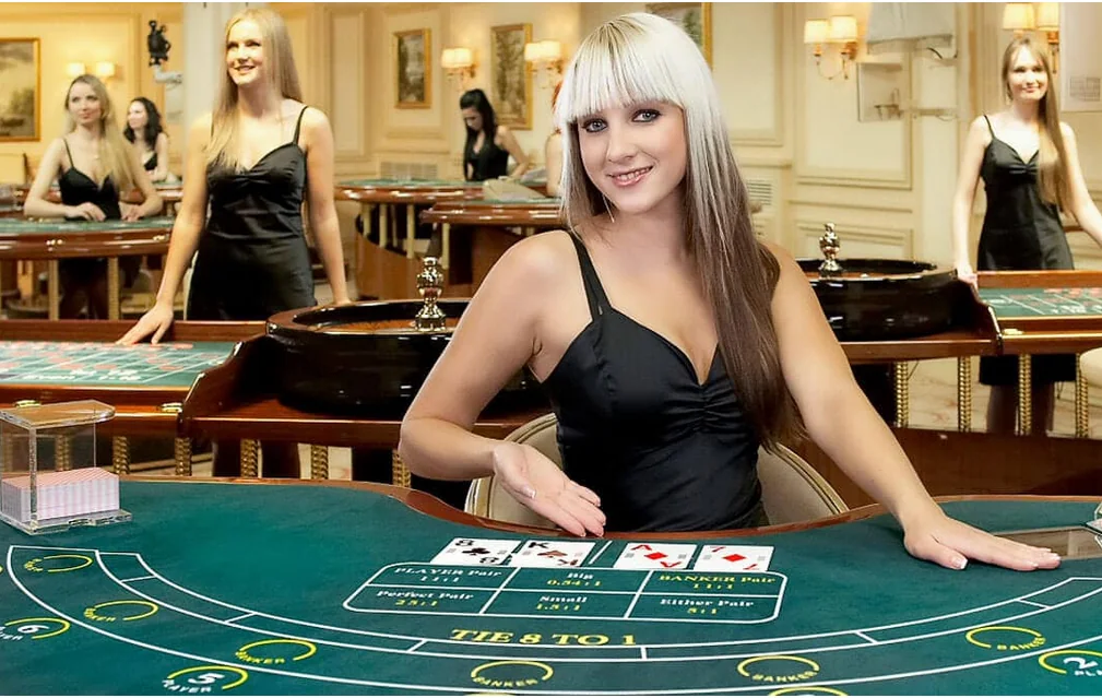 Dealer memandu permainan meja live dalam tampilan kamera